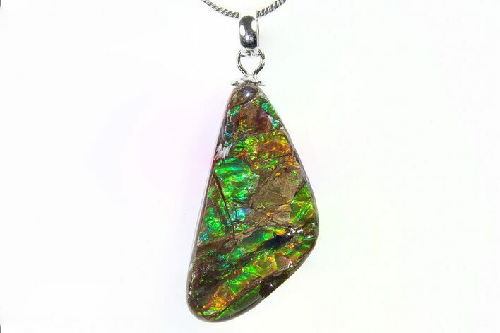 Brilliant Ammolite Pendant (Necklace) - Alberta, Canada #296096